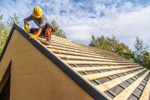 Best Roof Repair Services  in New Market, VA