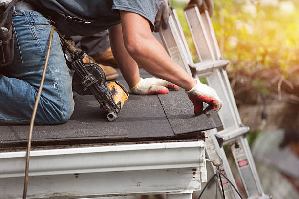Best Storm Damage Roof Repair  in New Market, VA