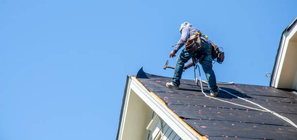Best Gutter Installation and Roofing  in New Market, VA